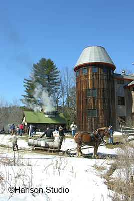 Horse and Sled at Sugar Shack